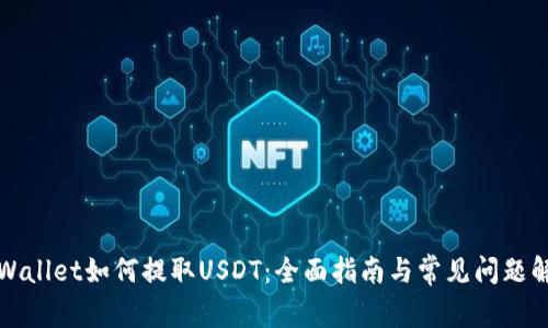 tpWallet如何提取USDT：全面指南与常见问题解析