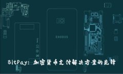 BitPay: 加密货币支付解决方案的先锋