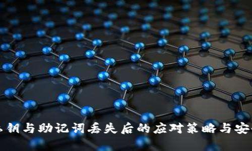 tpWallet私钥与助记词丢失后的应对策略与安全保护措施