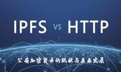 公有加密货币的现状与未来发展