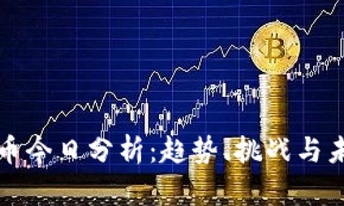 加密货币今日分析：趋势、挑战与未来展望