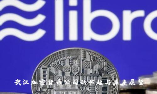 武汉加密货币公司的崛起与未来展望