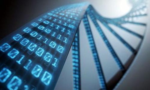 

揭开加密电子货币骗局的真相与防范方法