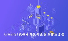 tpWallet找回币消失的原因与解决方案