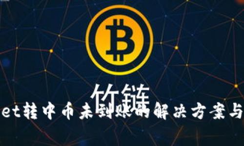 : tpWallet转中币未到账的解决方案与注意事项