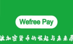   李波加密货币的崛起与未来展望