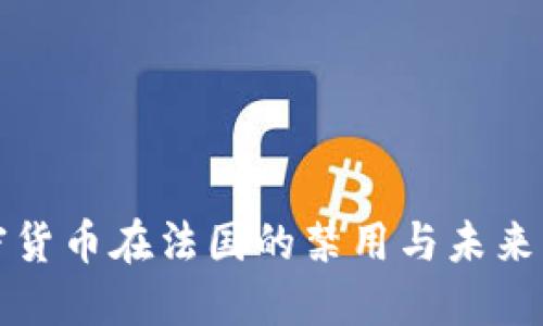 加密货币在法国的禁用与未来展望