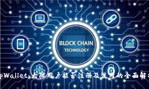 tpWallet：大陆用户能否注册及使用的全面解析