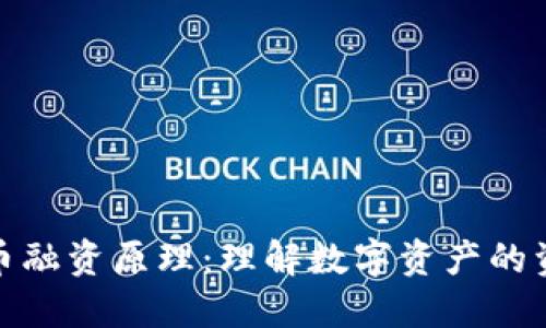 加密货币融资原理：理解数字资产的资本流动