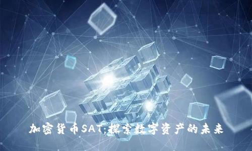 加密货币SAT：探索数字资产的未来