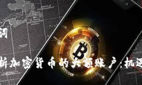 与关键词

深入解析加密货币的大额账户：机遇与挑战