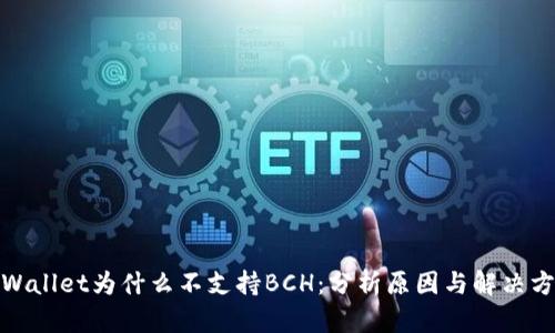 tpWallet为什么不支持BCH：分析原因与解决方案