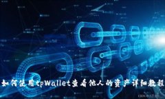 如何使用tpWallet查看他人的资产详细教程