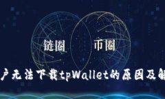 苹果用户无法下载tpWallet的原因及解决方案