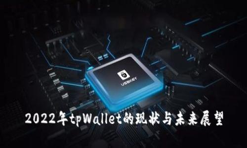 2022年tpWallet的现状与未来展望