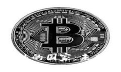 加密货币狂热的国家：未来金融的摇篮