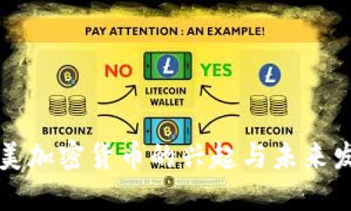 南美加密货币的兴起与未来发展