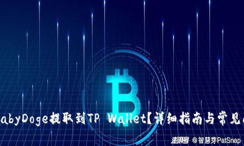 如何将BabyDoge提取到TP Wallet？详细指南与常见问题解析