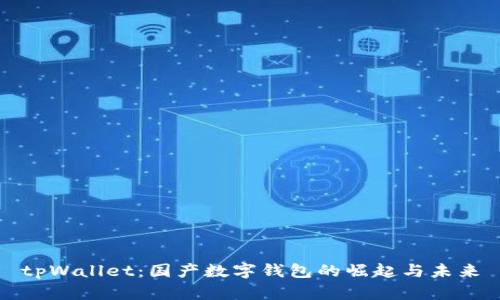 tpWallet：国产数字钱包的崛起与未来