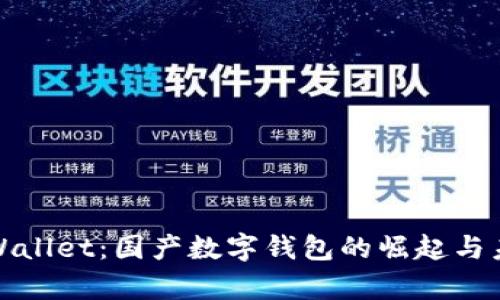 tpWallet：国产数字钱包的崛起与未来