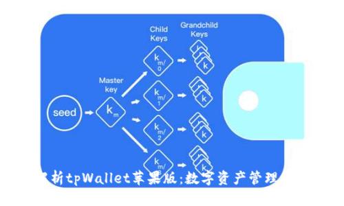 全面解析tpWallet苹果版：数字资产管理的新选择