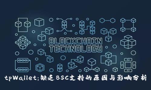 tpWallet：缺乏BSC支持的原因与影响分析