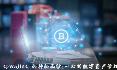 
揭开 tpWallet 的神秘面纱：一站式数字资产管理平台