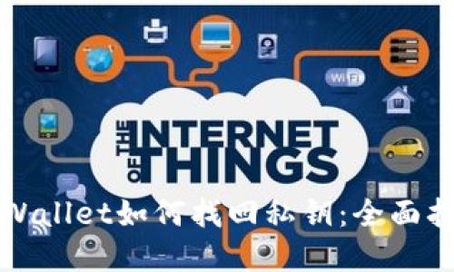 tpWallet如何找回私钥：全面指南