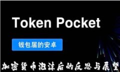 加密货币泡沫后的反思与展望