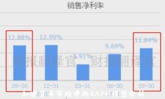 加密货币市场中的CAPM模型分析