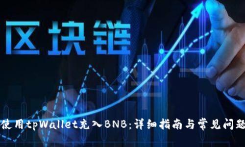 如何使用tpWallet充入BNB：详细指南与常见问题解析