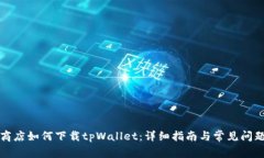 谷歌商店如何下载tpWallet：详细指南与常见问题解