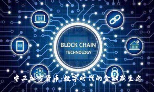 中卫加密货币：数字时代的金融新生态
