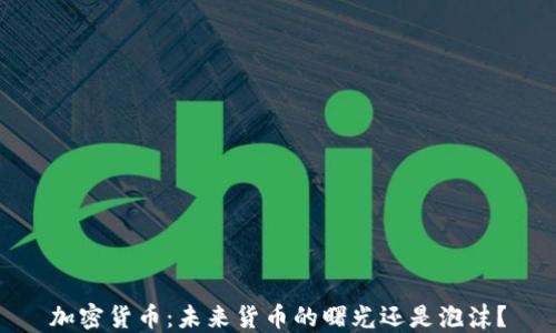 
加密货币：未来货币的曙光还是泡沫？