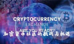 加密货币社区的挑战与机遇