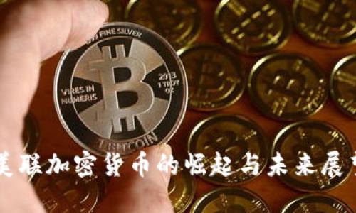 美联加密货币的崛起与未来展望