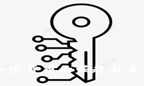 美联加密货币的崛起与未来展望