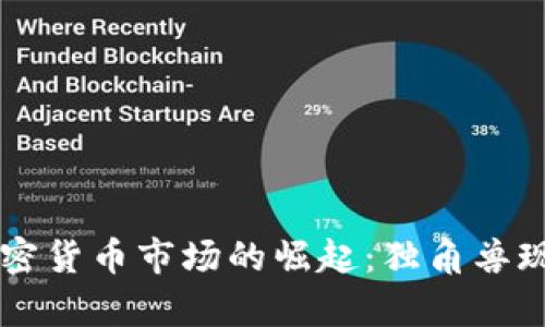 印度加密货币市场的崛起：独角兽现象分析