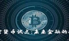 美国加密货币试点：未来金融的探索之路