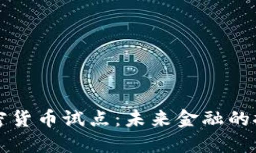 美国加密货币试点：未来金融的探索之路