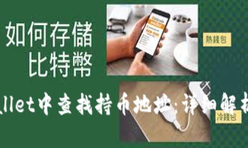 如何在tpWallet中查找持币地址：详细解析与操作指南