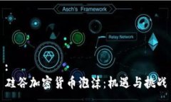 :硅谷加密货币泡沫：机遇与挑战