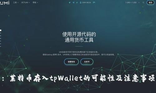 : 莱特币存入tpWallet的可能性及注意事项