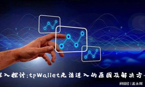 深入探讨：tpWallet无法进入的原因及解决方案