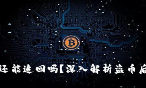 tpWallet被盗还能追回吗？深入解析盗币后追回的可能性