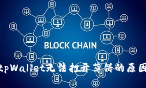 深入探讨: tpWallet无法打开薄饼的原因与解决方案