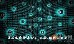 法国加密货币分叉：现状、挑战与未来