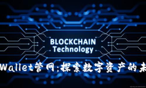 tpWallet管网：探索数字资产的未来
