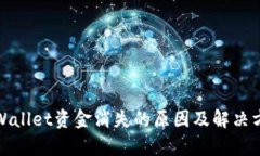 tpWallet资金消失的原因及解决方案