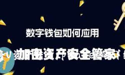 如何将U资产转至tpWallet的详细指南